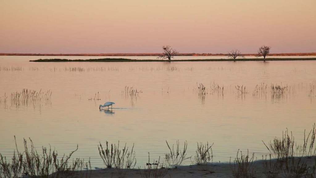 Coongie Lakes, SA